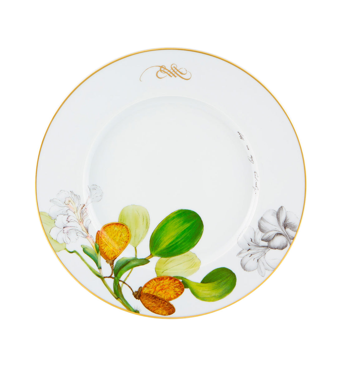 Amazónia Dinner Plate