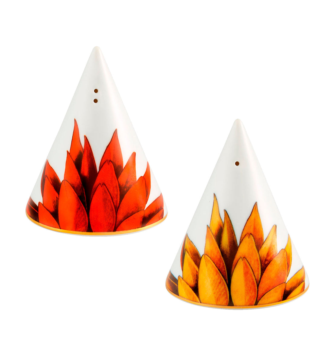 Amazónia Salt &amp; Pepper Set