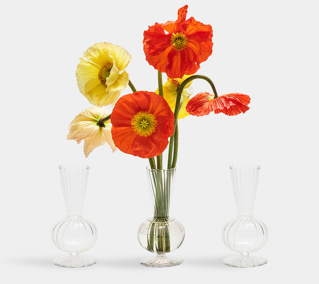 Tess Bud Vase in Clear, Set of 3 in a Box