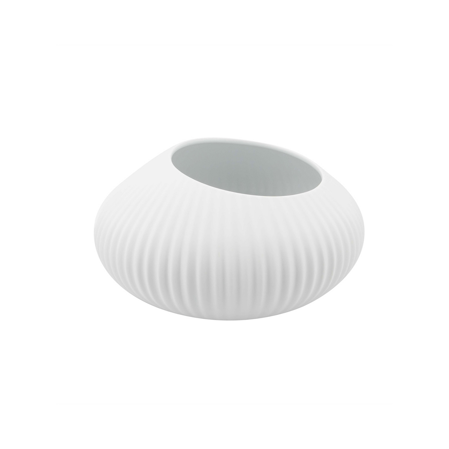 Shell White Bowl