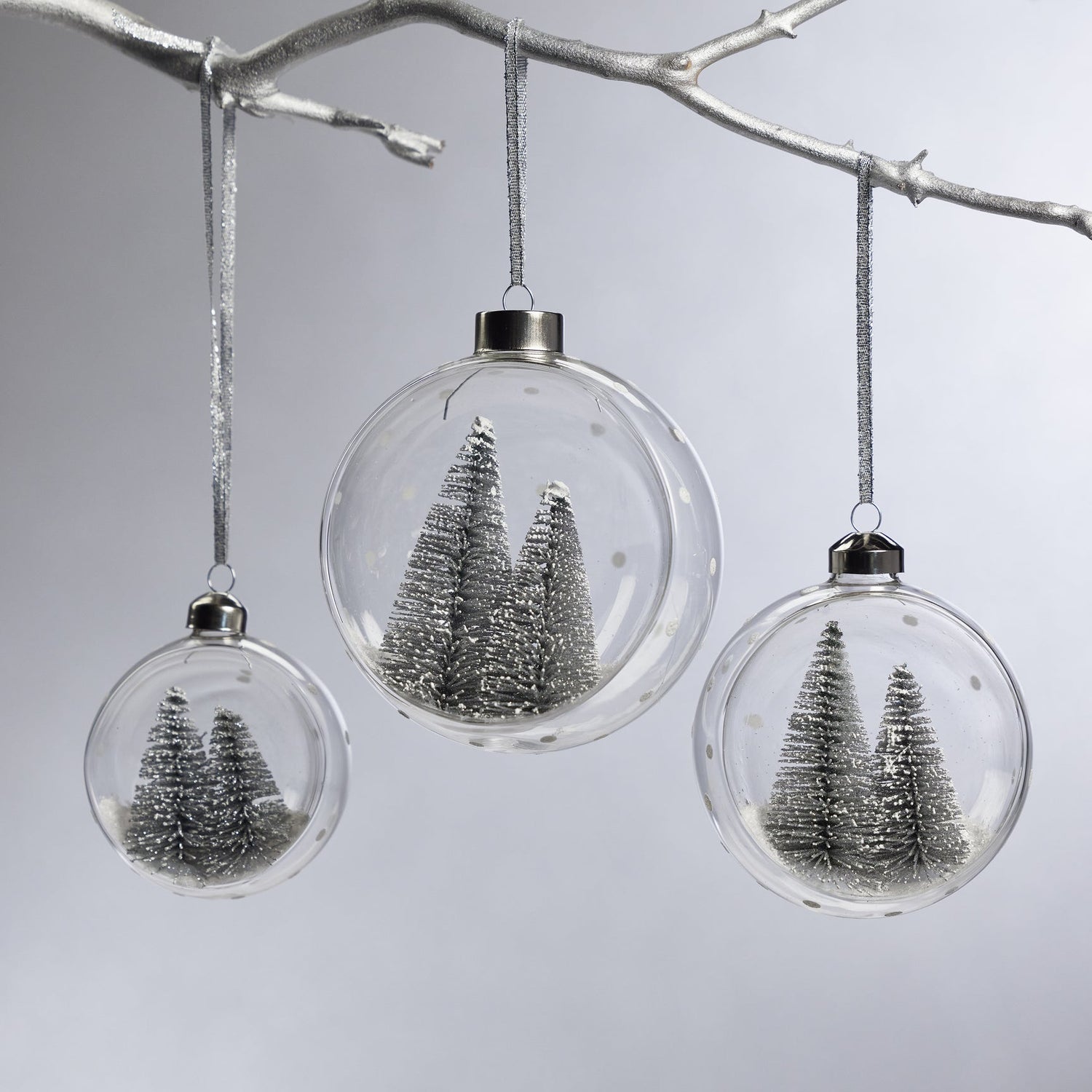 Clear Glass Ornament with Pine Trees - Silver - Medium