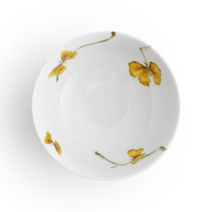 Butterfly Ginkgo  Dinnerware